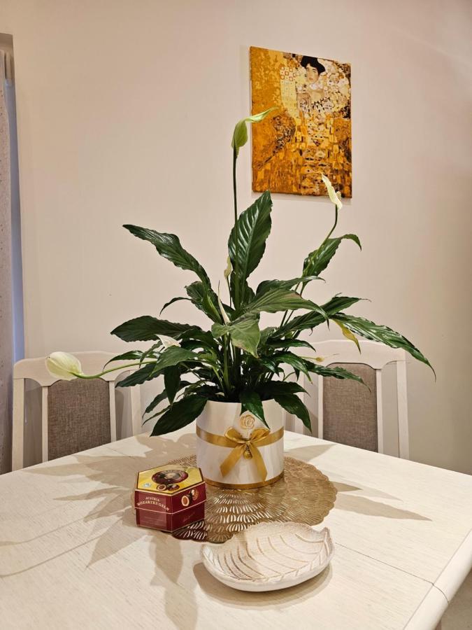 Studio Apartmani Vukasin Tivat Exteriör bild
